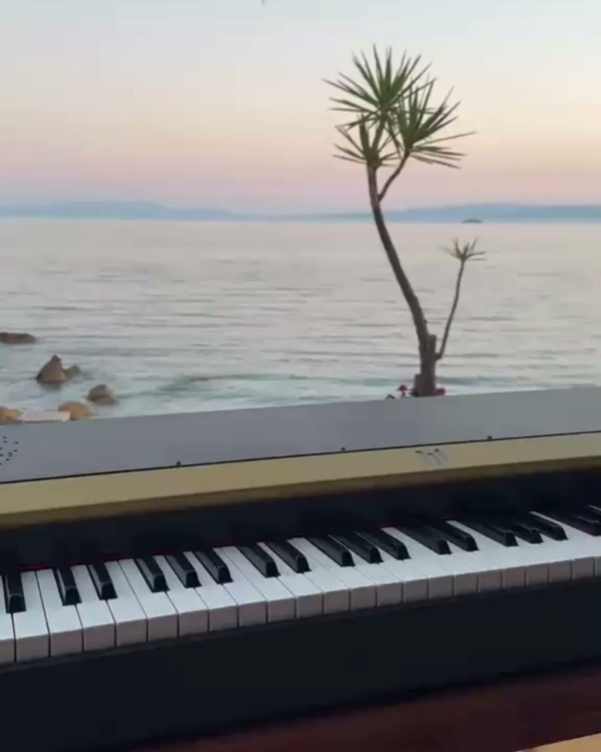 Jouer, sans choisir le lieu. 🎹

À la maison, sur scène, en répétition ou face à la mer, le Phoenix S accompagne la musique là où elle prend vie. 

Parce que la musique se joue là ù on ne l'attend pas. 

Transportable et autonome, cette fois, le Phoenix S a choisi de prendre l'air marin sur l'île de Skópelos … et ça lui va plutôt bien. 🌊

Phoenix S. Jouer. Partout. 🎶

Découvre le Phoenix S et profitez de notre Garantie Sérénité : 30 jours pour l'essayer chez vous, avec retour prix en charge.